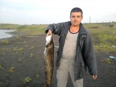 stetze